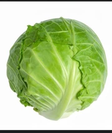 Cabbage