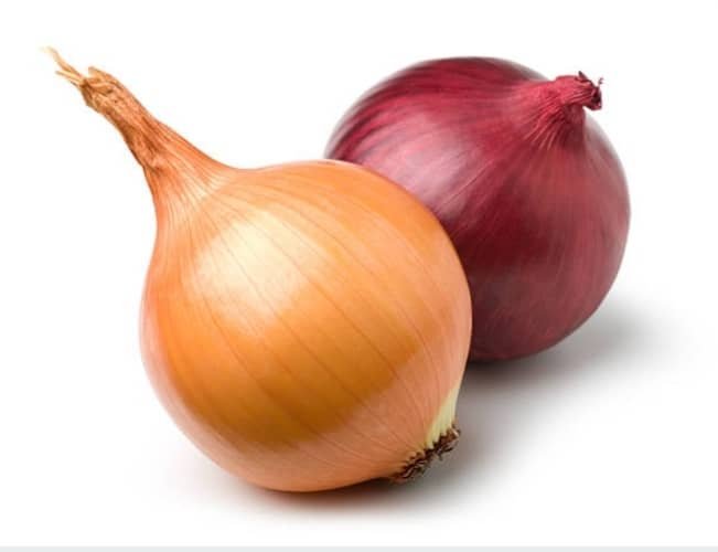 Onion